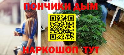 дживик Гай