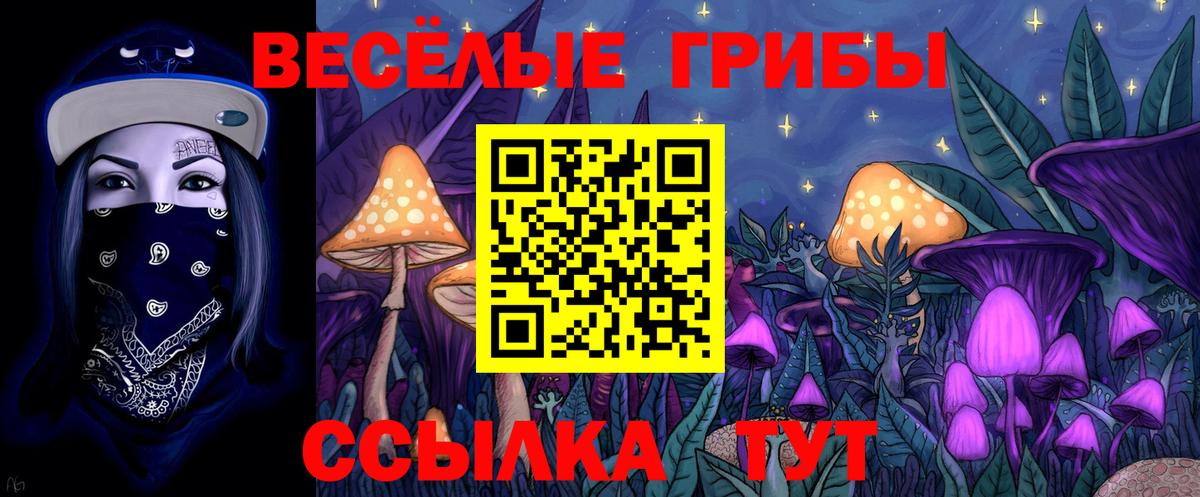 Галлюциногенные грибы GOLDEN TEACHER  Нижнеудинск  Псилоцибиновые грибы MAGIC MUSHROOMS 